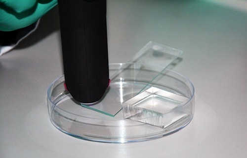 PDMS glass bonding