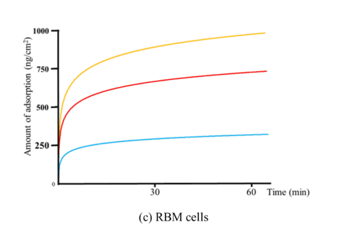 Abb.: Zeitliche Veränderungen der Adsorption von Rattenknochenmarkzellen (RBM) auf (blau) unbehandelten, (rot) UV-behandelten und (gelb) plasmabehandelten Ti-QCM-Sensoren.