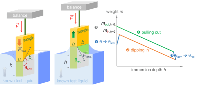 Dynamic contact angle is formed when the solid sample dipped in or pulled out of the test liquid with known surface tension.