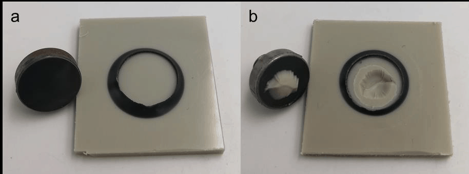 Figure 6: Illustration of a LUMiFrac specimen showing adhesive failure (AF) of the bond after tensile testing (a) as well as cohesive bond failure (CSF) and AF (mixed fracture) (b).