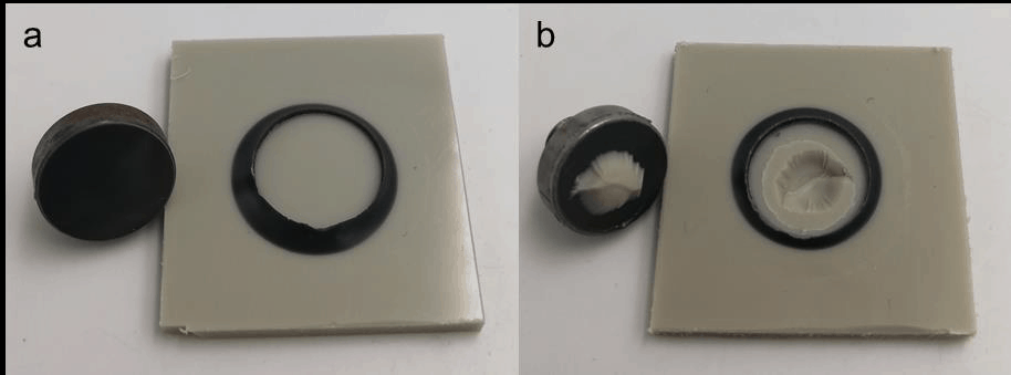 Abbildung 6: Darstellung einer LUMiFrac-Probe mit adhäsivem Versagen (AF) der Klebung nach der Zugprüfung (a) sowie kohäsives Fügeteilversagen (CSF) und AF (Mischbruch) (b).