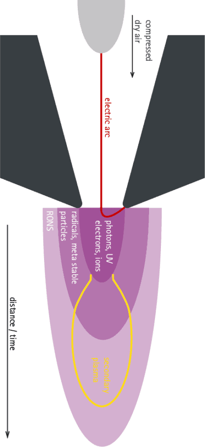 Potential and plasma