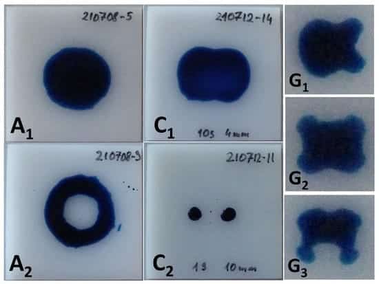 Die Formen der Aktivierungsfläche, die durch die 58 mN/m Testtinte auf dem HDPE-Substrat für die Konfigurationen A, C und G sichtbar gemacht werden. Die Größe der Substrate, die in den Bildern für A und C zu sehen sind, beträgt 50 mm × 50 mm. Die Behandlungszeiten betragen 100 ms, 3 s, 10 s, 1 s und 20 s für A1, A2, C1, C2 bzw. G1-3.