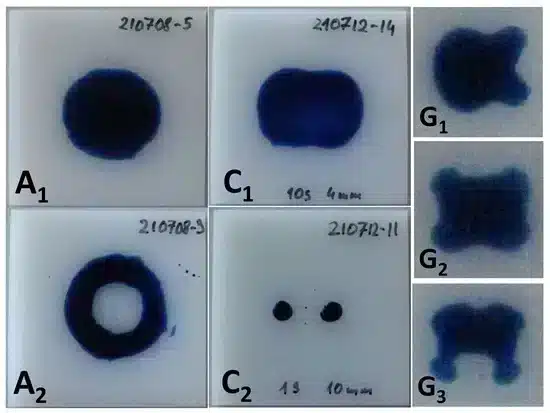 The shapes of the activation area visualized by the 58 mN/m test ink on the HDPE substrate for configurations A, C and G. The sizes of the substrates seen in pictures for A and C are 50 mm × 50 mm. The treatment times are 100 ms, 3 s, 10 s, 1 s and 20 s for A1, A2, C1, C2, and G1−3 respectively.