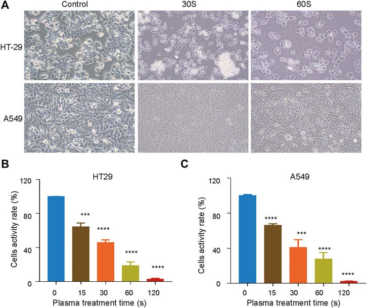 Abb. 2: Hemmung der Zellproliferation durch CAP-Behandlu