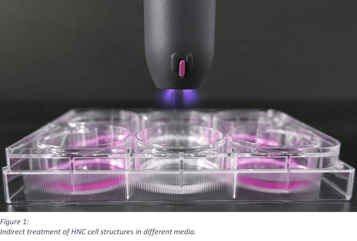 Indirect treatment of HNC cell structures in different media