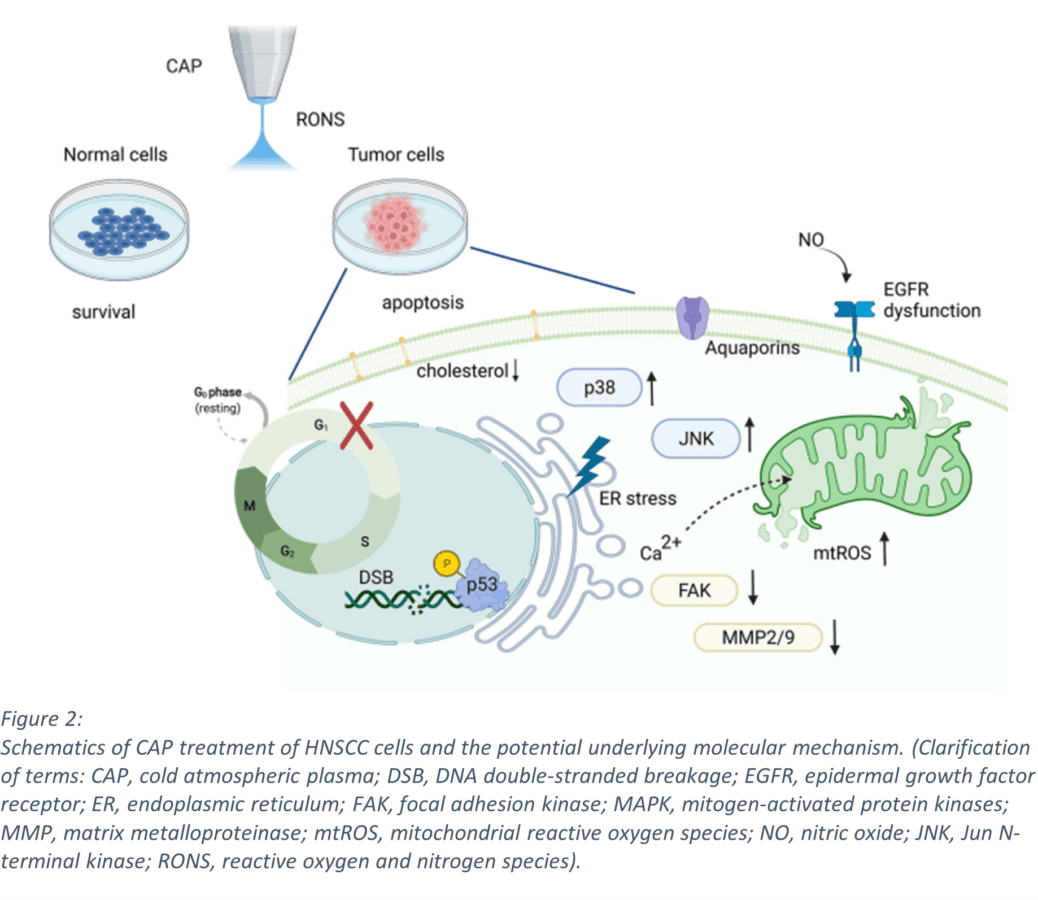 Schematics of CAP treatment