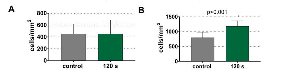 Number of gingival fibroblasts on dentin and titanium samples