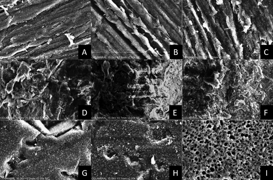 SEM images of PEEK after surface treatment